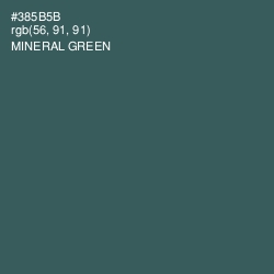 #385B5B - Mineral Green Color Image